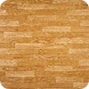 0592ottawa-poplar